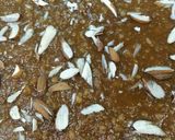 A picture of step 5 of Mohan thal.