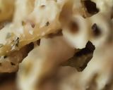 Foto del paso 4 de la receta: Pasta con pesto de aguacate