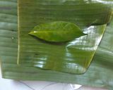 Foto langkah ke 2 dari resep Pepes Tahu Jamur Tiram Kemangi.