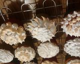 Foto del paso 2 de la receta: Cupcakes "Picos Locos"