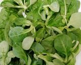 Foto del paso 8 de la receta: Ensalada de albaricoques