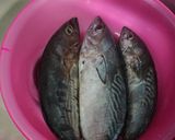 Foto langkah ke 1 dari resep Ikan Tongkol Cabe Hijau.