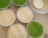 Foto langkah ke 4 dari resep Puding lumut Vla.