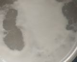 Foto langkah ke 2 dari resep Pudding tapai baras.