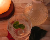 Foto del paso 8 de la receta: El señor de los Anillos: Miruvor // Cordial de Agua de Rosas
