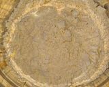 A picture of step 2 of Gathiya.