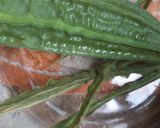 A picture of step 1 of Ridg Gourd Peels Chutney It is rich in fibers vits minerals.