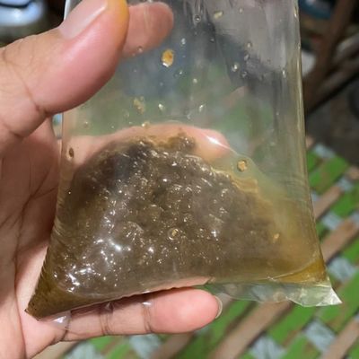 Langkah 2