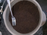 Trufas de chocolate en cantidad
