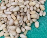 Foto del paso 1 de la receta: Ensalada de col rizada o kale