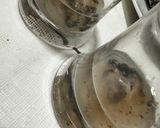 Foto del paso 5 de la receta: Chupito de ostra con vodka