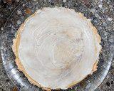 Foto del paso 12 de la receta: ✨💫 Torres de chenoa - Torre de panqueques con aprovechamiento de vitel tonné 💫✨