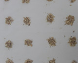 Foto del paso 2 de la receta: Bombones de frutos secos 🥜