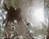 A picture of step 6 of Brownie.