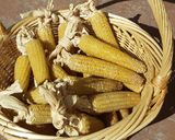 Foto del paso 6 de la receta: Huachales
