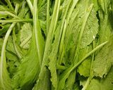 Hình bước làm 4 của món Canh củ nấu cá quả, tôm