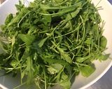 Une image de l'étape 4 de Roquette aux tomates séchées,copeaux de comté affiné et herbes aromatiques.