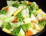 🥕鮮蔬粉絲煲🥦的食譜步驟4照片