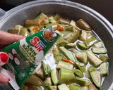 Foto langkah ke 4 dari resep Lodeh simple (terong ijo + tempe).
