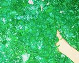صورة لخطوة 5 من وصفة ملوخيه 💚