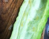 鹽昆布涼拌苦瓜的食譜步驟1照片