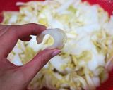 Foto langkah ke 3 dari resep Kimchi instan resep asli korea. Tanpa kompor dan pasta.