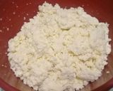 Foto del paso 5 de la receta: Queso fresco 🐄🧀