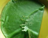 Foto langkah ke 4 dari resep Dadar gulung pandan.