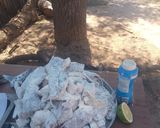 Foto del paso 2 de la receta: Bagre del Río Pilcomayo frito