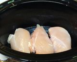 A picture of step 1 of Shredded Hawaiian Chicken - Crockpot Recipe.