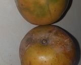 Foto del paso 1 de la receta: Conserva de mango ciruelo