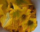 Foto del paso 1 de la receta: Quesadillas de flor de calabaza