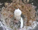 A picture of step 2 of Sattu Ka Paratha.