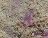 Foto del paso 4 de la receta: Tarta con Crema de Frutilla y Crema Chantilly