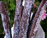 A picture of step 4 of Oreo Churros.