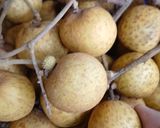 Foto langkah ke 1 dari resep Sop Buah Segar.