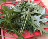 Foto langkah ke 1 dari resep Bakwan daun pepaya jepang.