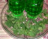A picture of step 4 of Quice Lemonade Mint Sprig Drink #Cookpadapp #Drink_Competition.