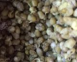 A picture of step 1 of Moong Sprout Mayo Salad.