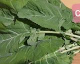Foto del paso 1 de la receta: Berza guisada