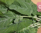 Foto del paso 1 de la receta: Berza guisada