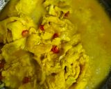 Foto langkah ke 2 dari resep Telur Dadar Kuah Santan Mommylicious.