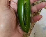 Stuffed Green Peppers recipe step 1 photo