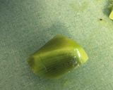 A picture of step 2 of Apple and kiwi salad.