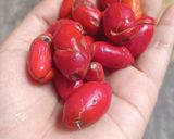 Foto langkah ke 1 dari resep Oseng kulit melinjo.