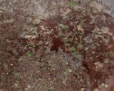 A picture of step 3 of Ginger tulsi tea.