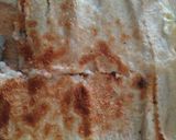 Foto del paso 9 de la receta: Canelones veganos de Seitán