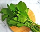 Foto langkah ke 1 dari resep Tumis Genjer Tauco (simple anak kos) instagram : @spicecraft02.