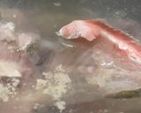 Foto langkah ke 6 dari resep Baso Ikan Ekor Kuning Singapura Enak, Kenyal & Gurih.