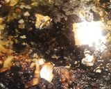 A picture of step 9 of Roasted Buttermilk Chicken.